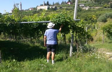 Agriturismo Cascina Capo - Foto 52