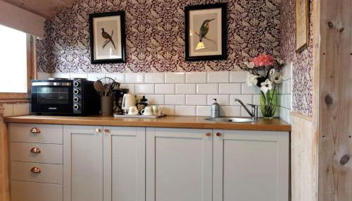 Shepherd's Hut at Cefn Tilla Court - Foto 4