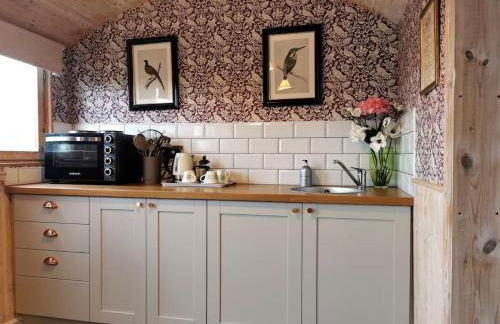 Shepherd's Hut at Cefn Tilla Court - Foto 4