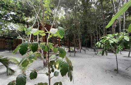 CHaLéS GuiGó, Refugio em meio a natureza - Photo 56