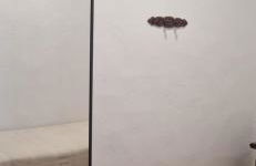 La casa de Martin - Foto 14