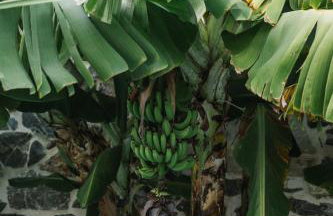 Villa Efigenia - Serenity - Foto 24