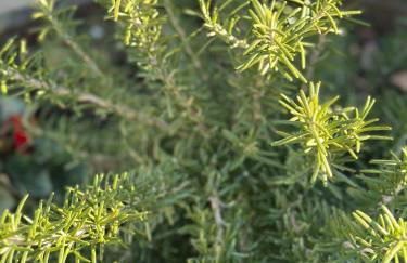Locazione Turistica A Casa di Viola - Foto 60