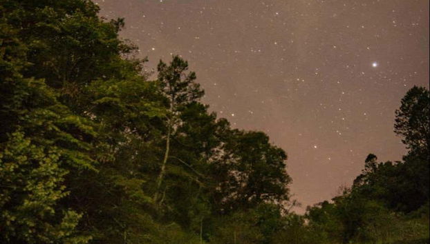 Tirolina en la presa de Umécuaro + Avistamiento de luciérnagas - Foto 4, Noche estrellada