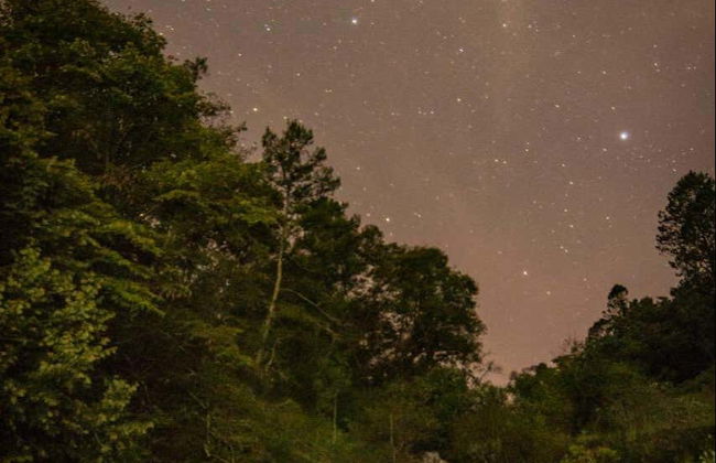 Tirolina en la presa de Umécuaro + Avistamiento de luciérnagas - Foto 4