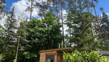 Ferienhaus Reetdach 1300qm Privatgrundstück Bootssteg Sauna Templin Lübbesee Uckermark Erholung pur Seenplatte - Foto 5