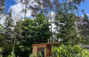 Ferienhaus Reetdach 1300qm Privatgrundstück Bootssteg Sauna Templin Lübbesee Uckermark Erholung pur Seenplatte - Photo 5