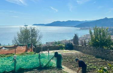 Dimora Concept - Orizzonte Blu - Verezzi sea view - Foto 21