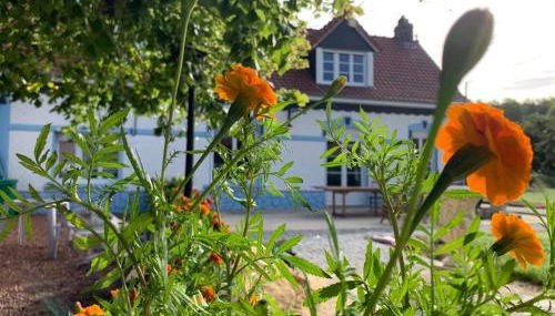 Le Moulin de la Planquette - Foto 3