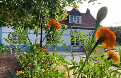 Le Moulin de la Planquette - Foto 3