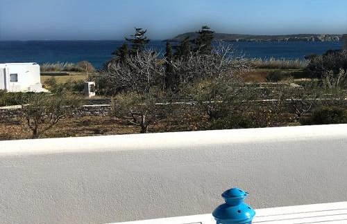 Flora Apartments - Photo 19