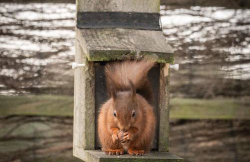 The Haystore - Foto 15