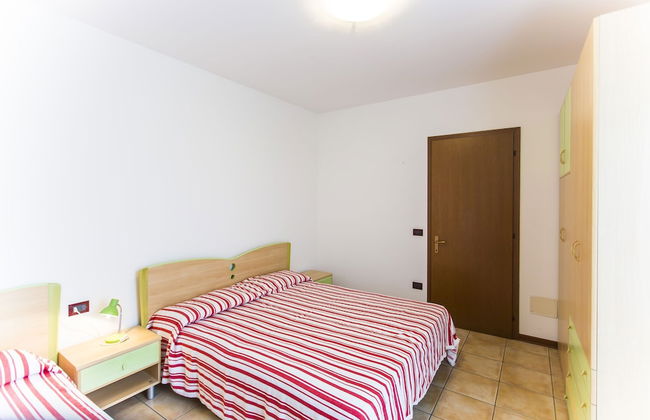 Calycanthus - Foto 11