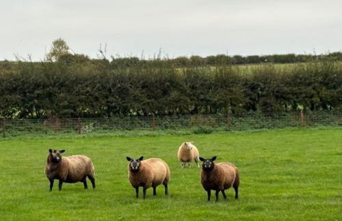 The Old Stable - Foto 8