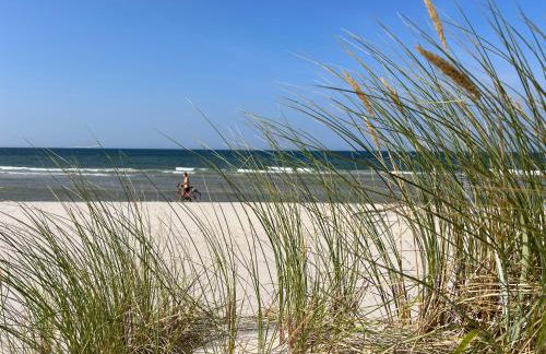 Słowińska Łąka - Foto 51