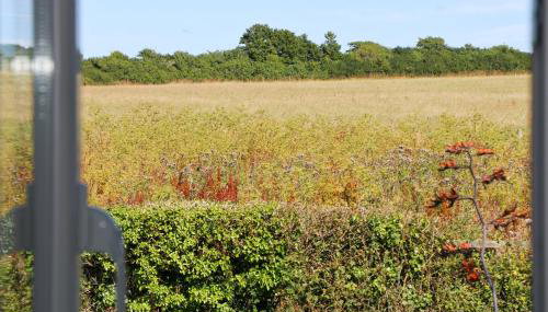 Peaceful, rural cottage on the outskirts of Padstow - Foto 5