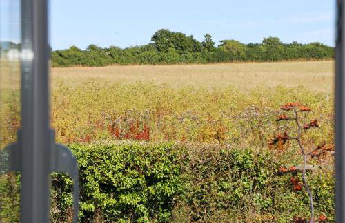 Peaceful, rural cottage on the outskirts of Padstow - Foto 5