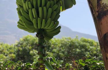 Caserío de la Playa - Adults Only - Foto 71