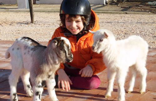 All'Antica Ruggine - Photo 38