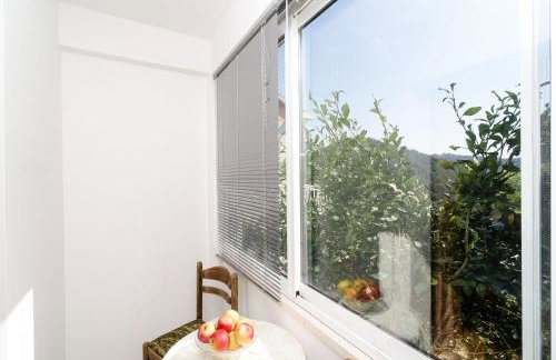 Guest House Kralj - Photo 24