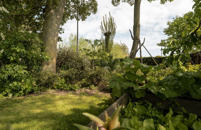 3 bedroom House in Ostend with garden and terrace - Photo 42