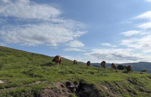 El Refugio de los Corrales - Foto 68