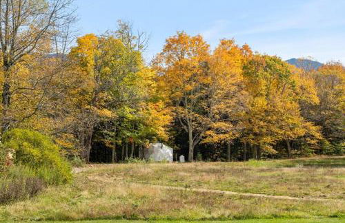 Geodome 1min to Smuggler's Notch with hot tub & River - Foto 12