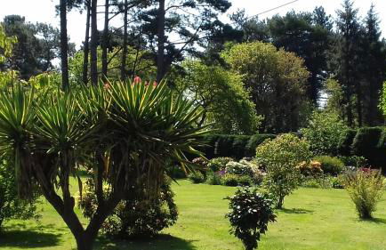 Au gite du bois d'amour - Foto 24