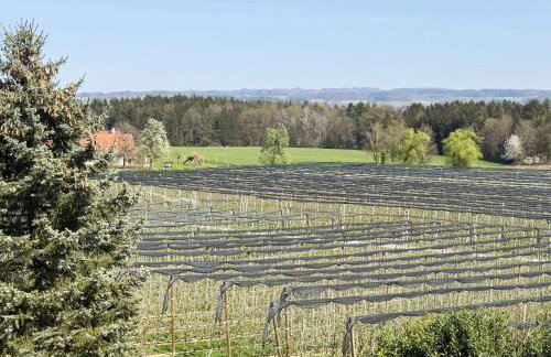 Bergchalet Mirabell - Hofgut - Foto 12