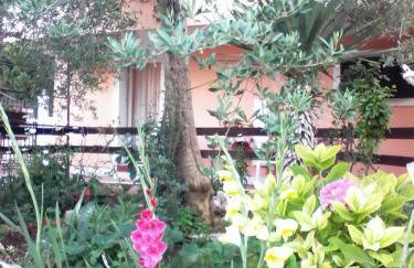 Apartments Vendi - Photo 41