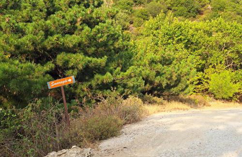 Smaragdi Luxury Apartments - Photo 54