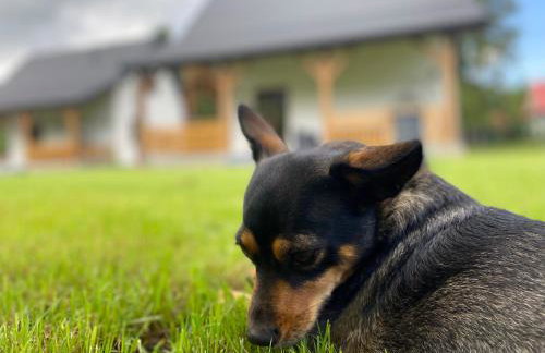 Kasi Polany - Foto 22