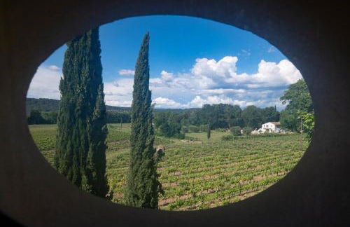 Gîte Lavande au milieu des vignes - Chateau les Apiès - Foto 12