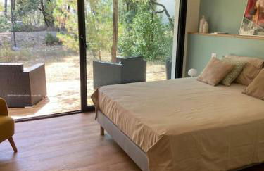 Maison proche du pic Saint Loup - Photo 16