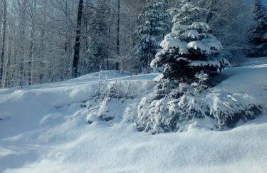 Przystanek Bystra - Foto 14