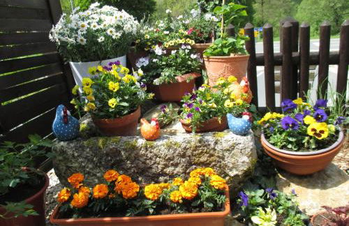 Apartments in Behringersmühle - Foto 22