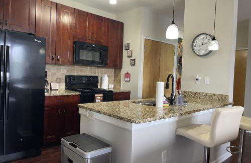 Stylish Sky Lofts Condo in Historic West End condo - Foto 6