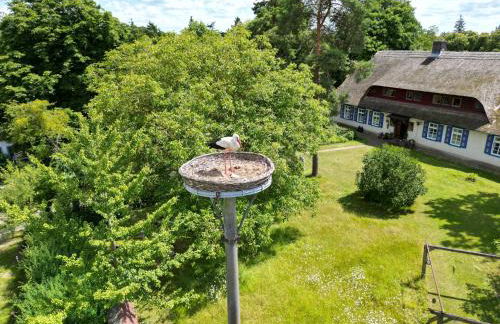 Pfarrhaus Tollensesee - Foto 16