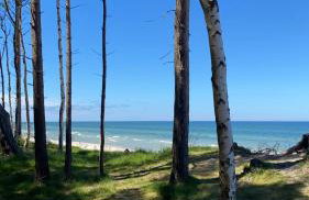 Piękny domek z dużym ogrodem - Foto 36