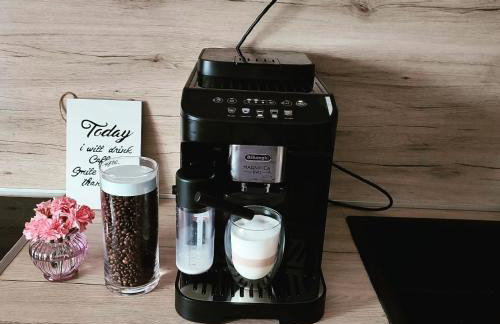 Amaryllis - Photo 26