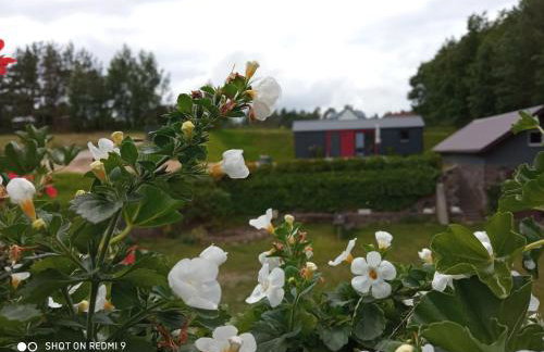 Domek na Jodłowej - Foto 22