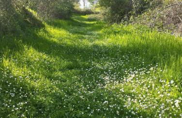 El Portal de Castroserna - Foto 30