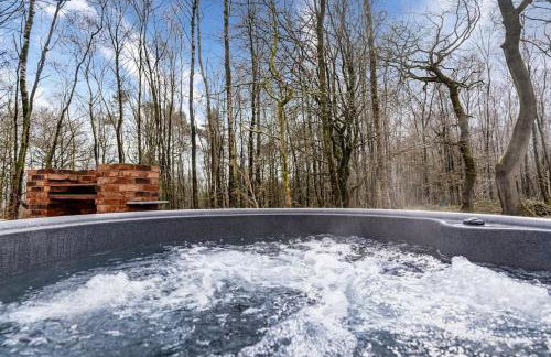 Ashenhurst, woodland lodge with hot tub for 4 - Foto 24
