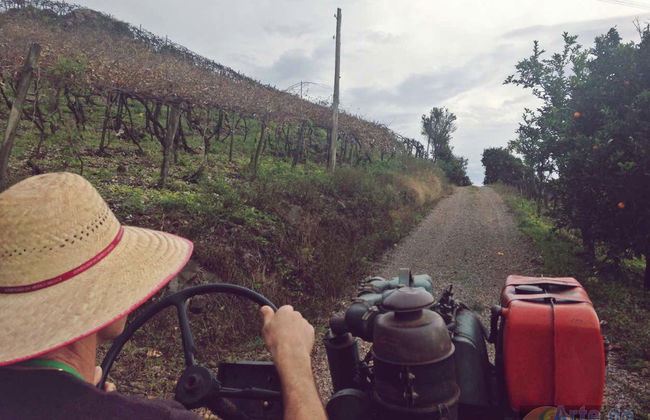 Tour rurale di Flores da Cunha - Foto 7