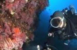 Argentario bed and beach - Foto 34