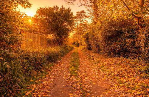 Clevelands Country House - Photo 24