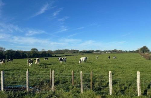 Moneybrannon Lodge - Foto 19