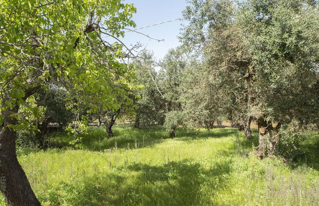 Trullo Pinto - Foto 60