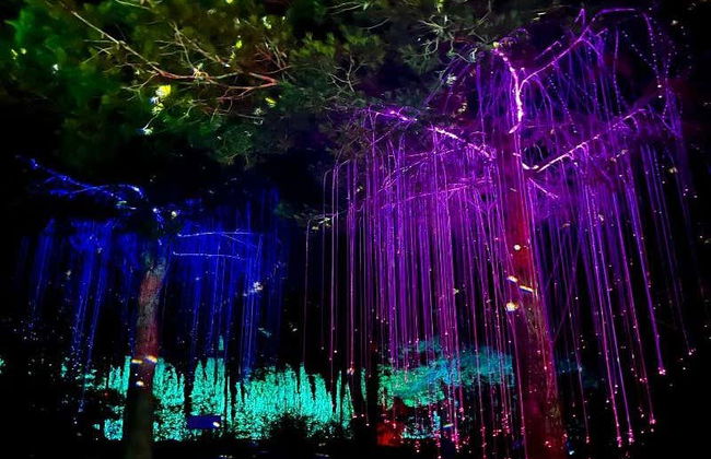 Ibiza Biotechnological Botanical Garden Tour - Photo 8