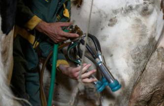 Oberschlichterhof - Foto 18